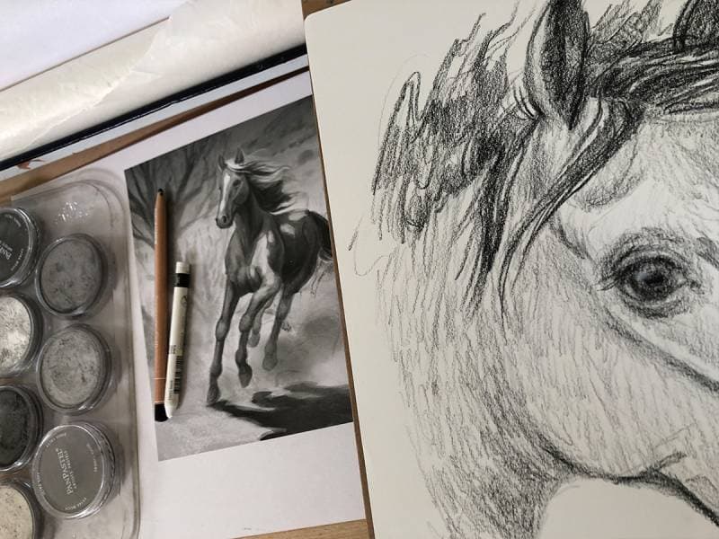 THINGS TO THINK ABOUT WHEN ILLUSTRATING HORSES
